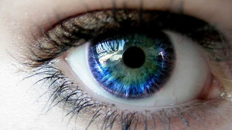 Degeneración macular y problemas de retina