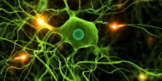 Síntomas, Identificación y convivencia con el Parkinson