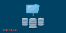 DBA Administración base de datos Oracle