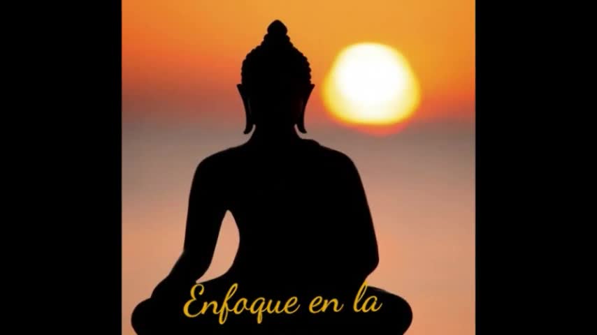 Curso de Yoga tradicional para principiantes