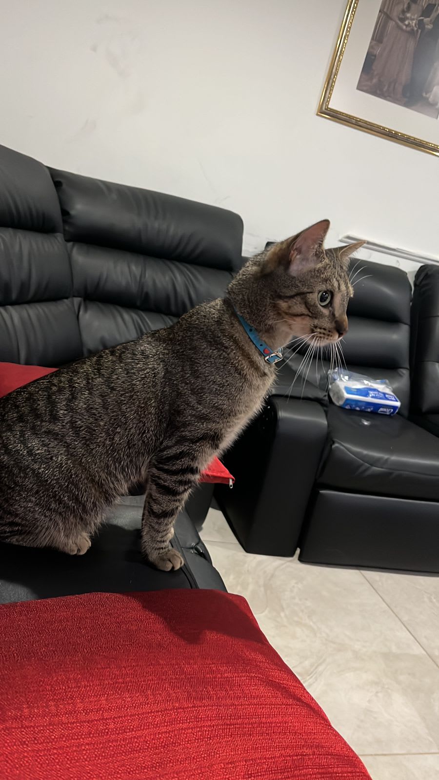 Sara Caballero Caballero 