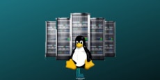 Administración de Servidores Linux desde  0 hasta Avanzado 2020