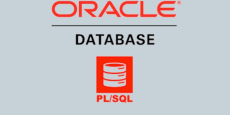 Oracle Plsql Básico- Intermedio